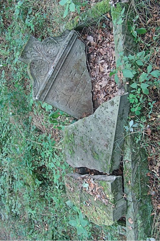 Grabstein Nummer 38 auf dem Friedhof Trzciel (Tirschtiegel)