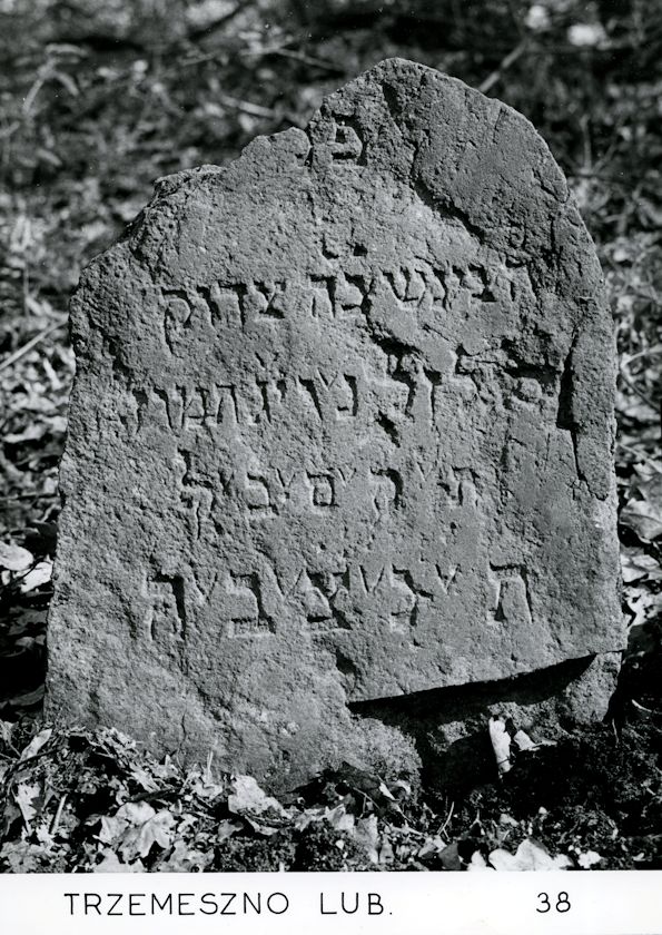 Grabstein Nummer 19 auf dem Friedhof Trzemeszno Lubuskie (Schermeisel)