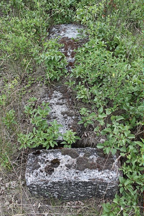 Grabstein Nummer 44 auf dem Friedhof Zasieki (Forst)
