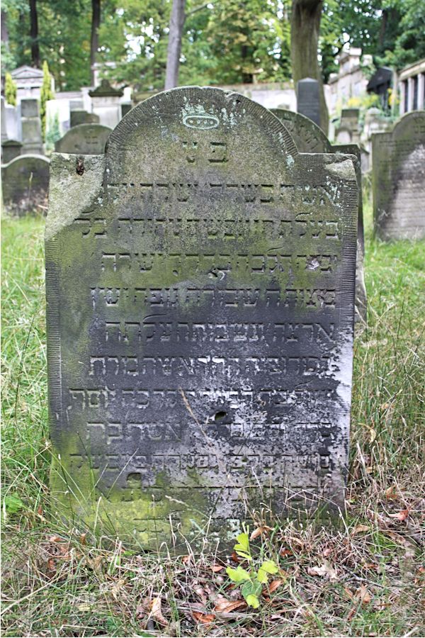 Grabstein Nummer 89 auf dem Friedhof Potsdam