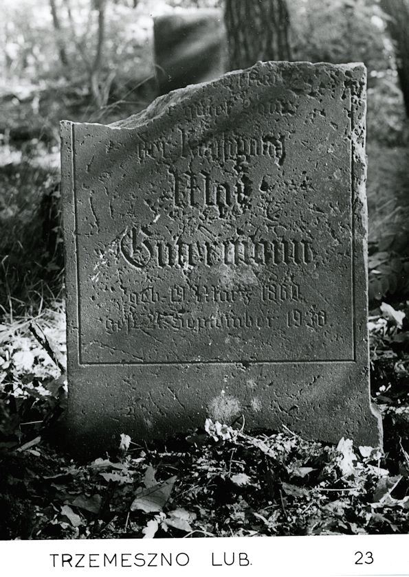 Grabstein Nummer 46 auf dem Friedhof Trzemeszno Lubuskie (Schermeisel)