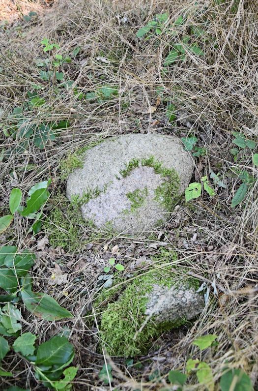 Grabstein Nummer 35 auf dem Friedhof Trzemeszno Lubuskie (Schermeisel)