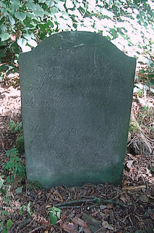 Grabstein Nummer 112 auf dem Friedhof Trzciel (Tirschtiegel)