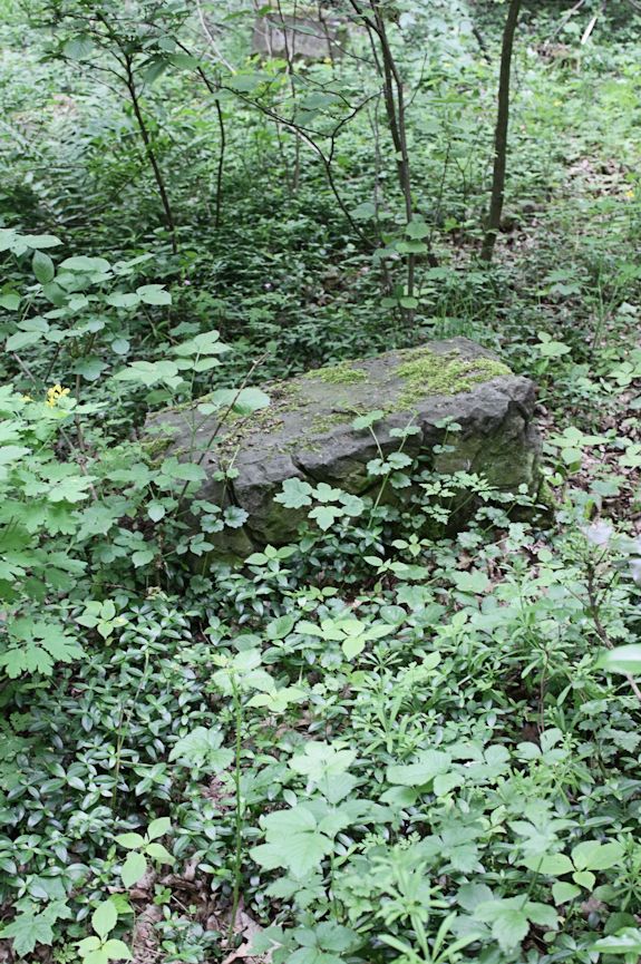 Grabstein Nummer 16 auf dem Friedhof Torzym (Sternberg)