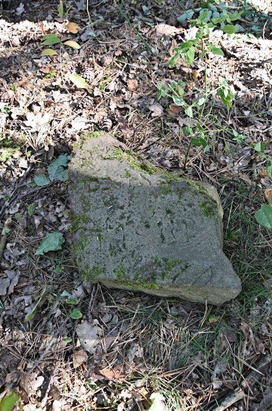 Grabstein Nummer 14 auf dem Friedhof Trzemeszno Lubuskie (Schermeisel)