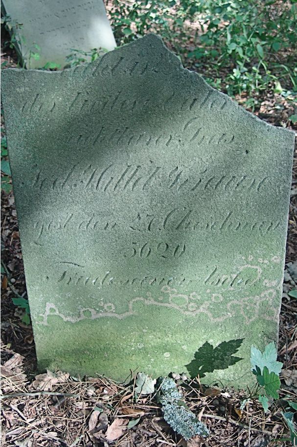 Grabstein Nummer 134 auf dem Friedhof Trzciel (Tirschtiegel)