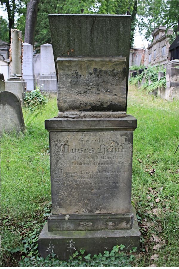 Grabstein Nummer 223 auf dem Friedhof Potsdam