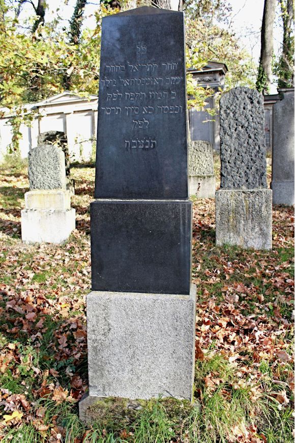 Grabstein Nummer 343 auf dem Friedhof Potsdam