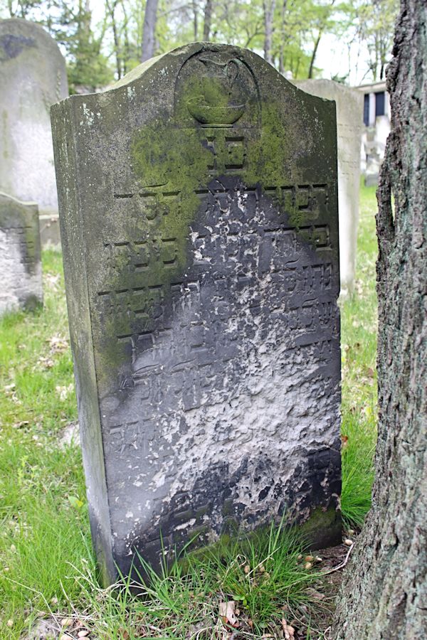 Grabstein Nummer 112 auf dem Friedhof Potsdam