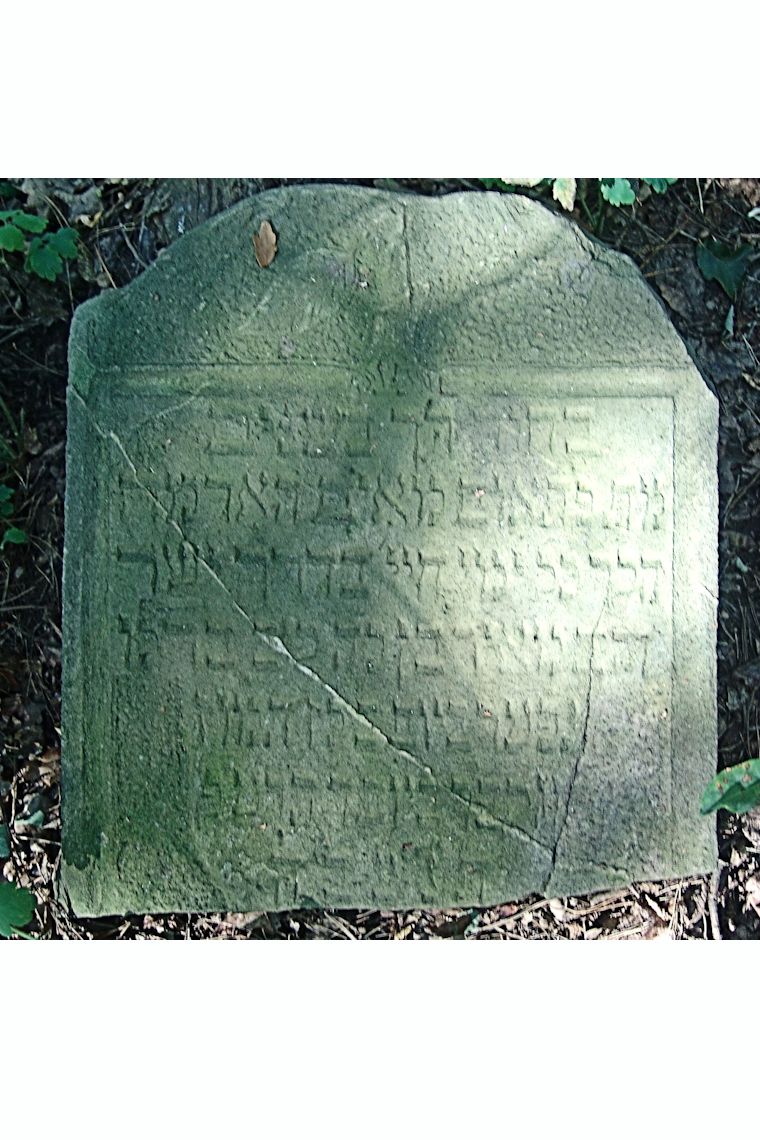 Grabstein Nummer 137 auf dem Friedhof Trzciel (Tirschtiegel)