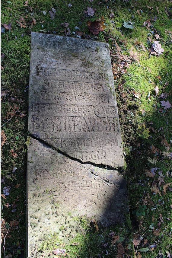 Grabstein Nummer 100 auf dem Friedhof Storkow