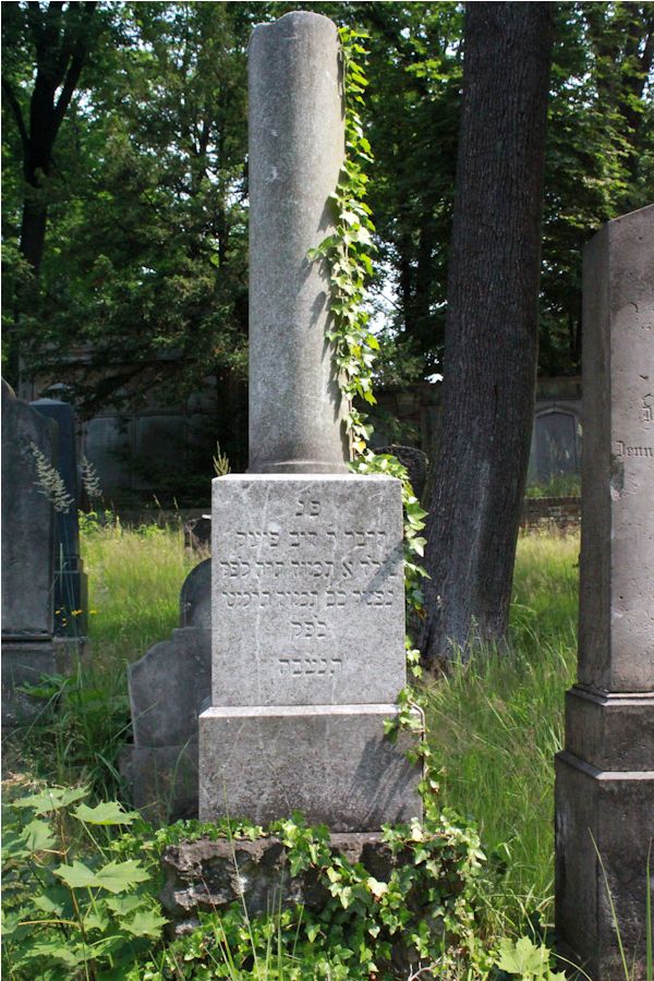 Grabstein Nummer 296 auf dem Friedhof Potsdam