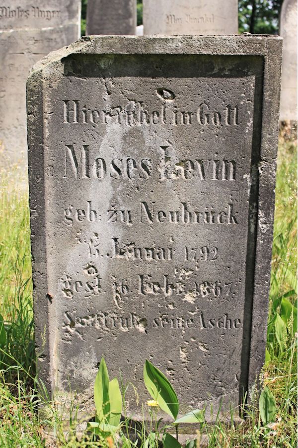 Grabstein Nummer 201 auf dem Friedhof Potsdam