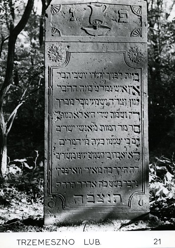 Grabstein Nummer 75 auf dem Friedhof Trzemeszno Lubuskie (Schermeisel)