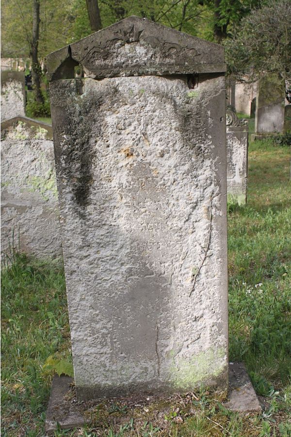 Grabstein Nummer 240 auf dem Friedhof Potsdam