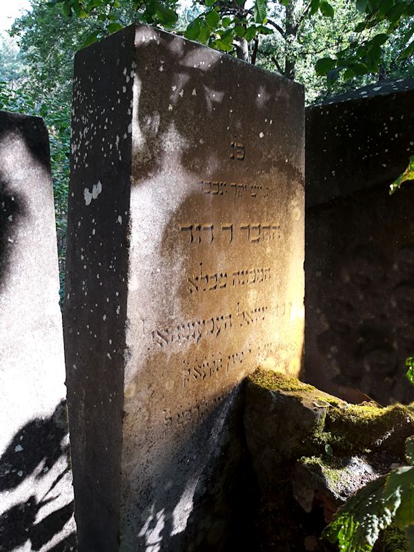 Grabstein Nummer 43 auf dem Friedhof Beeskow