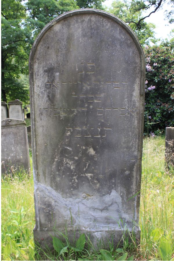 Grabstein Nummer 217 auf dem Friedhof Potsdam