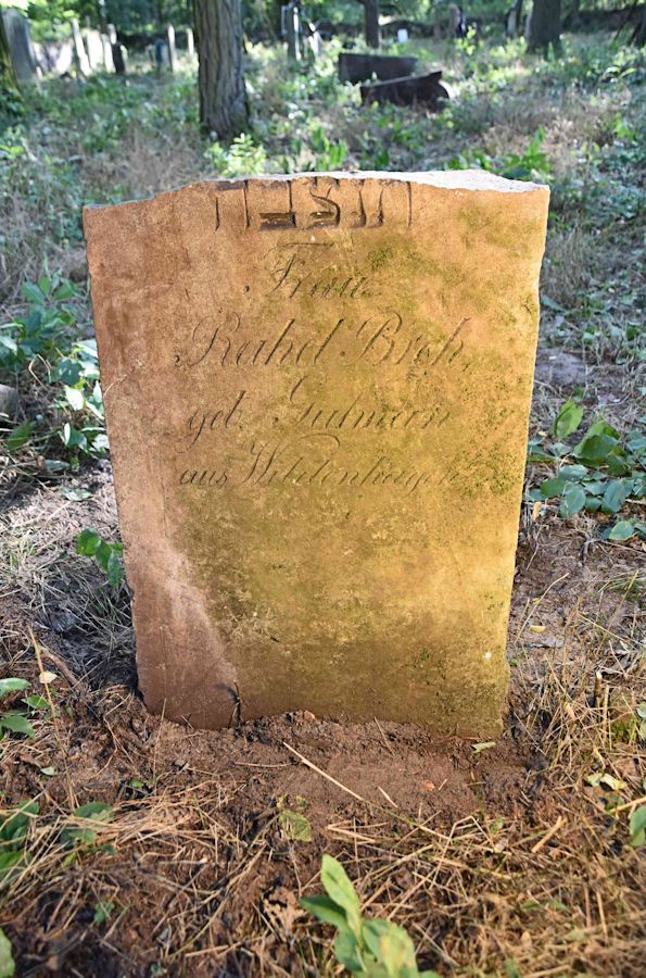 Grabstein Nummer 54 auf dem Friedhof Trzemeszno Lubuskie (Schermeisel)