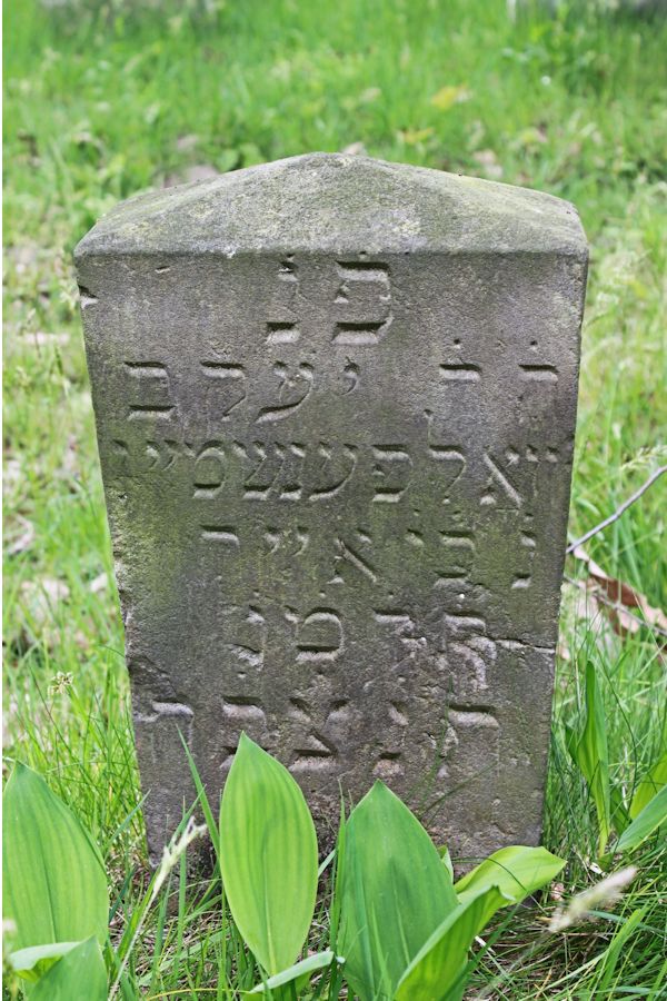 Grabstein Nummer 181 auf dem Friedhof Potsdam