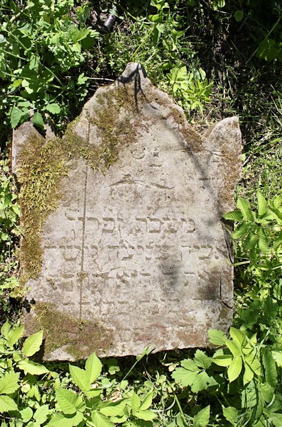 Grabstein Nummer 8 auf dem Friedhof Dębno (Neudamm)