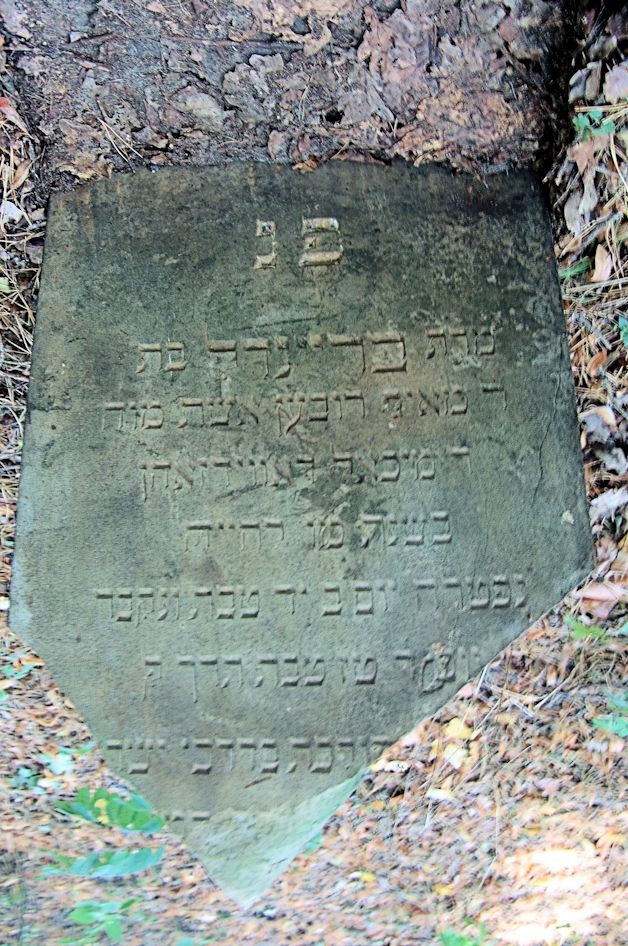 Grabstein Nummer 8 auf dem Friedhof Trzciel (Tirschtiegel)