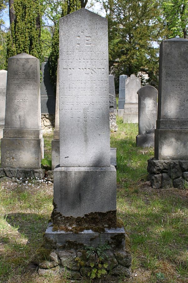 Grabstein Nummer 254 auf dem Friedhof Potsdam