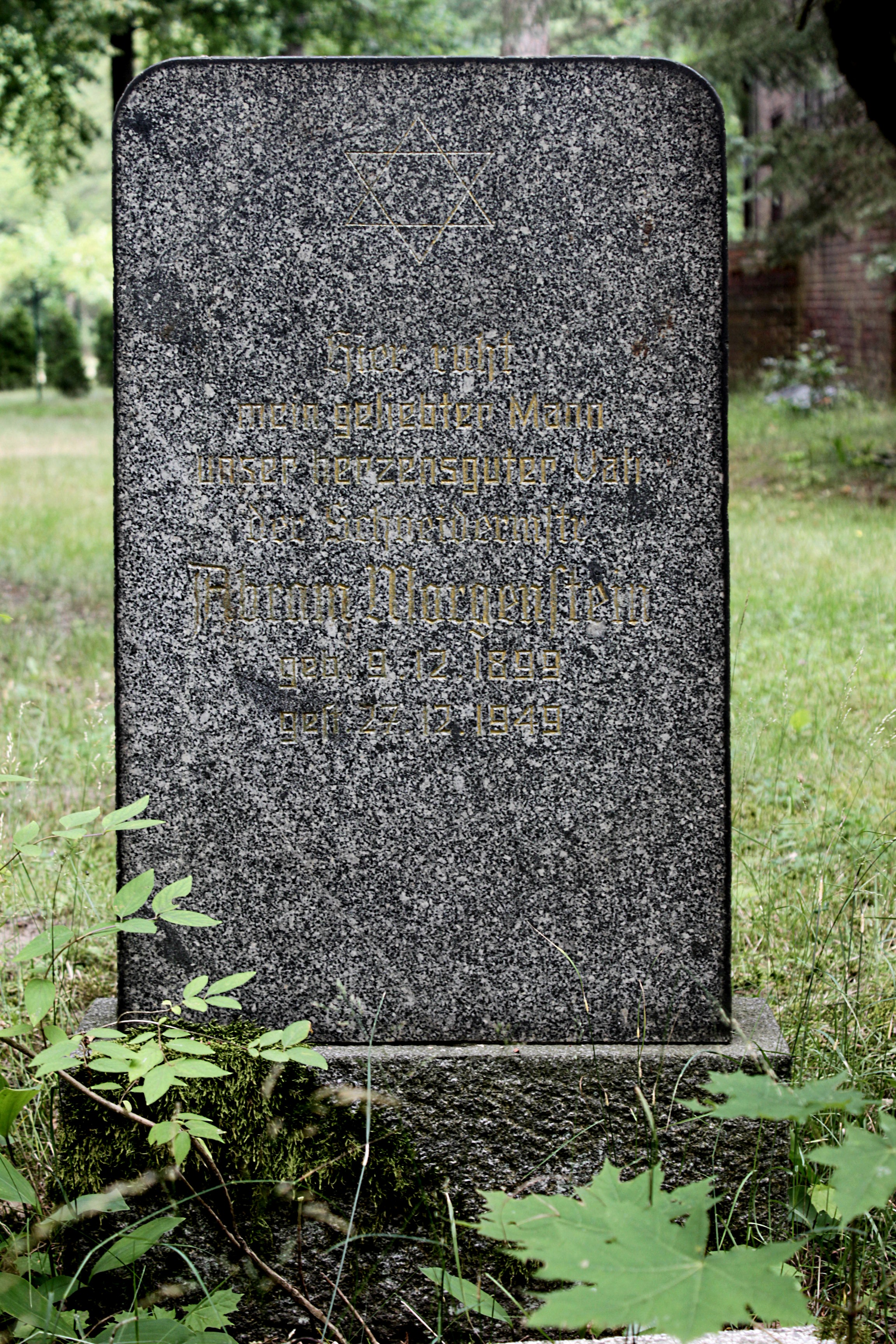 Grabstein Nummer 42 auf dem Friedhof Cottbus 1