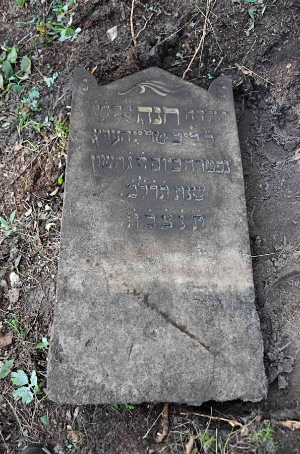 Grabstein Nummer 82 auf dem Friedhof Trzemeszno Lubuskie (Schermeisel)