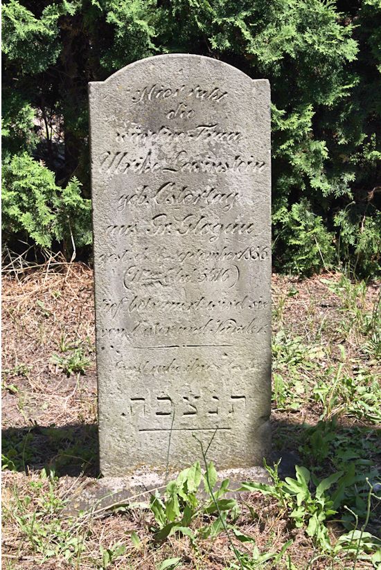 Grabstein Nummer 12 auf dem Friedhof Trebbin