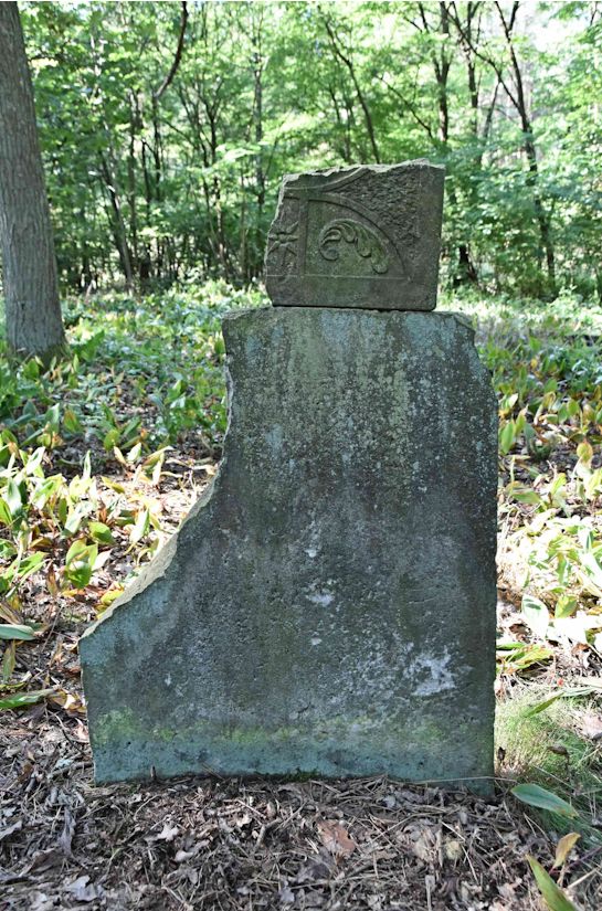 Grabstein Nummer 3 auf dem Friedhof Trzemeszno Lubuskie (Schermeisel)