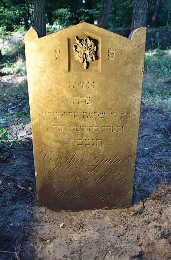 Grabstein Nummer 103 auf dem Friedhof Trzemeszno Lubuskie (Schermeisel)