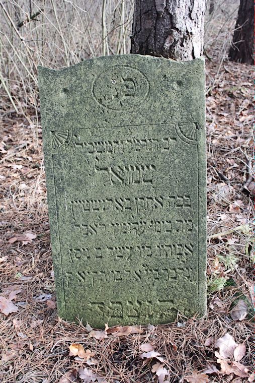 Grabstein Nummer 10 auf dem Friedhof Brójce (Brätz)