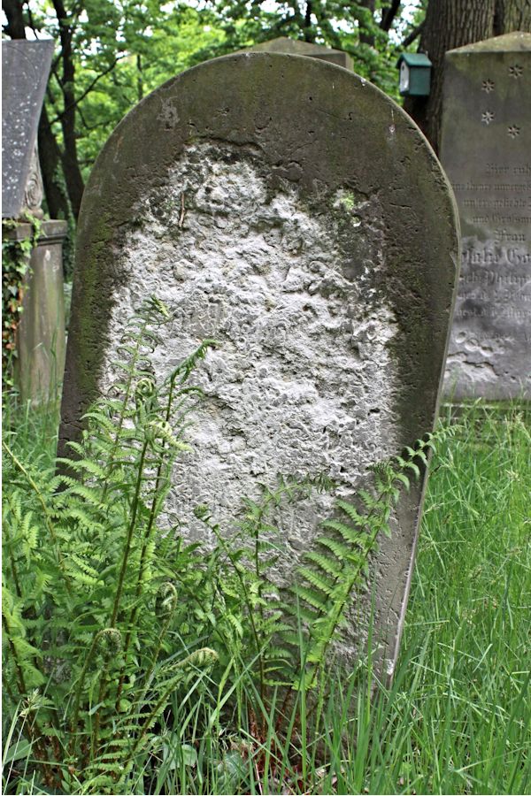 Grabstein Nummer 250 auf dem Friedhof Potsdam