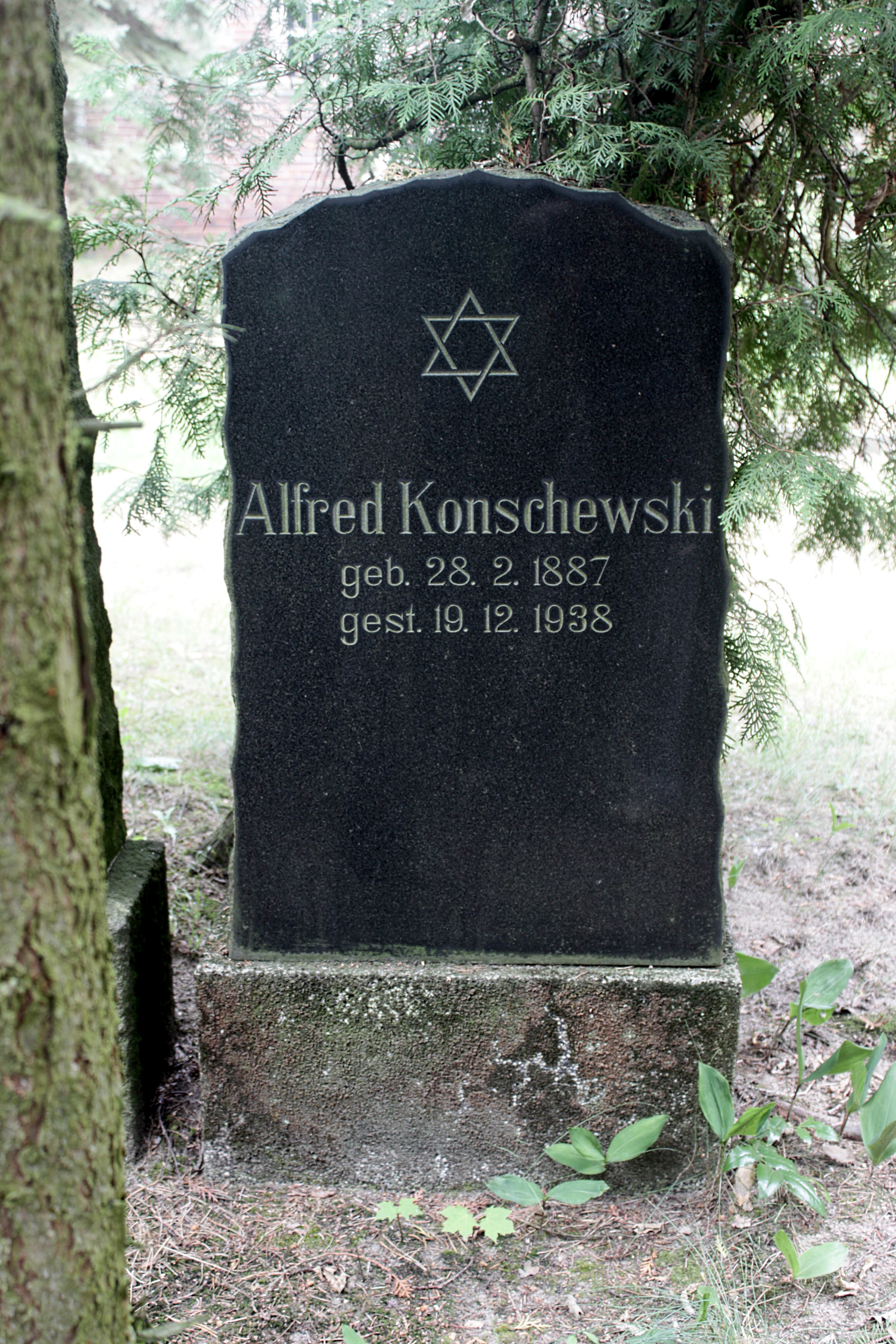 Grabstein Nummer 47 auf dem Friedhof Cottbus 1