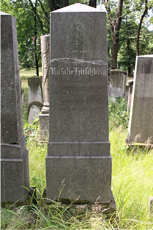 Grabstein Nummer 273 auf dem Friedhof Potsdam