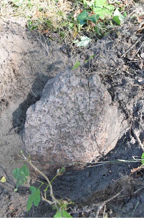 Grabstein Nummer 34 auf dem Friedhof Trzemeszno Lubuskie (Schermeisel)