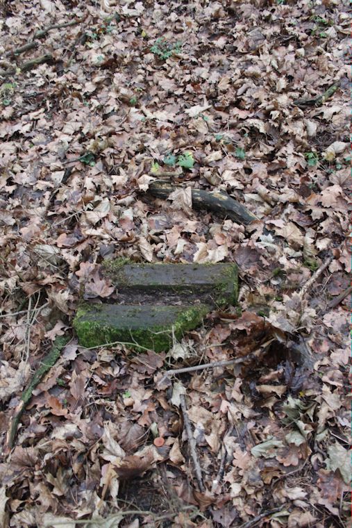 Grabstein Nummer 7 auf dem Friedhof Kargowa (Unruhstadt)