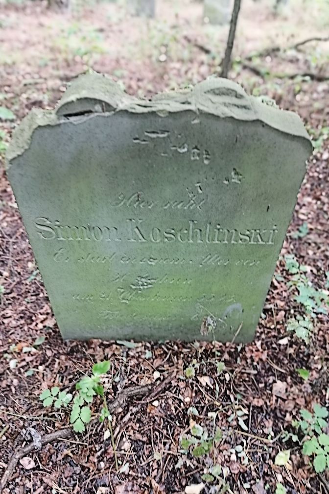 Grabstein Nummer 142 auf dem Friedhof Trzciel (Tirschtiegel)