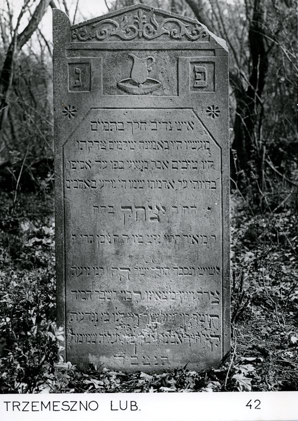 Grabstein Nummer 66 auf dem Friedhof Trzemeszno Lubuskie (Schermeisel)