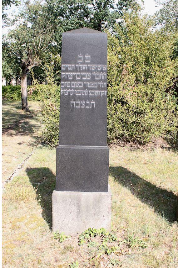Grabstein Nummer 50 auf dem Friedhof Guben
