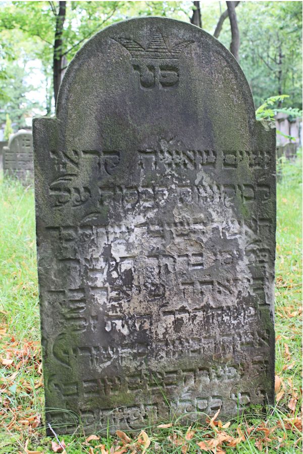 Grabstein Nummer 29 auf dem Friedhof Potsdam