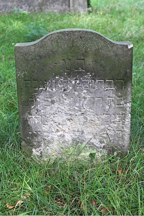 Grabstein Nummer 146 auf dem Friedhof Potsdam