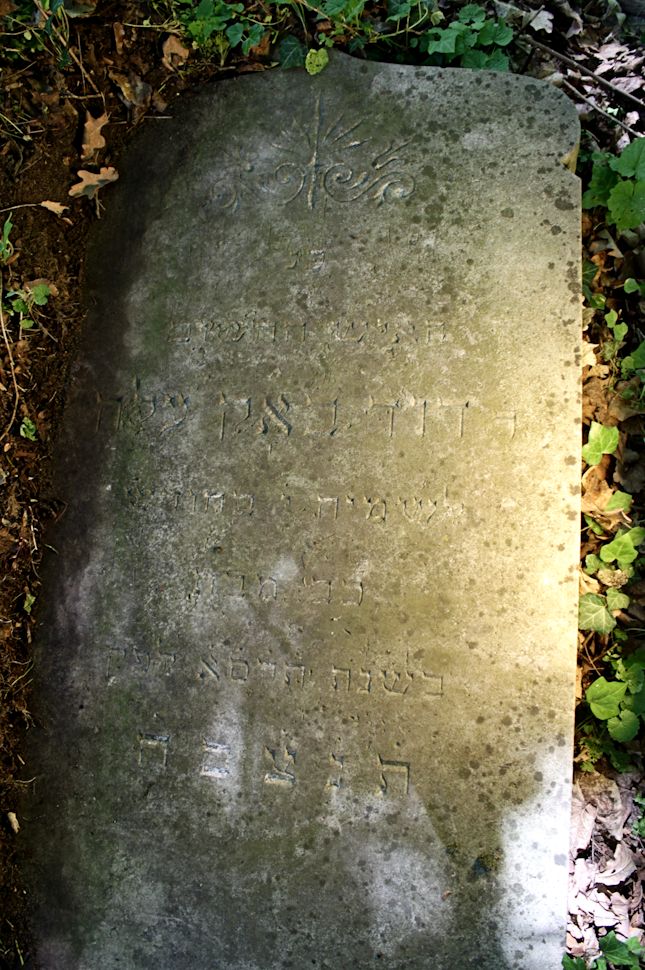 Grabstein Nummer 9 auf dem Friedhof Świętojańsko (St. Johannes)