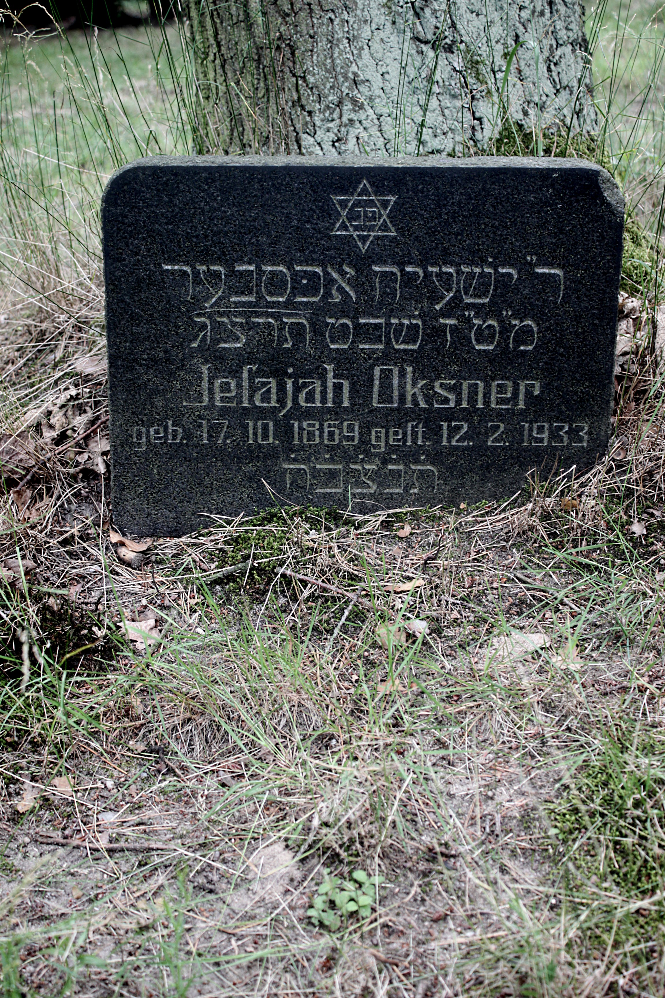 Grabstein Nummer 18 auf dem Friedhof Cottbus 1