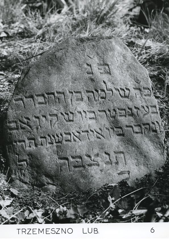 Grabstein Nummer 98 auf dem Friedhof Trzemeszno Lubuskie (Schermeisel)