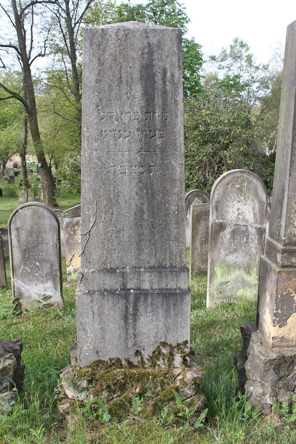 Grabstein Nummer 244 auf dem Friedhof Potsdam