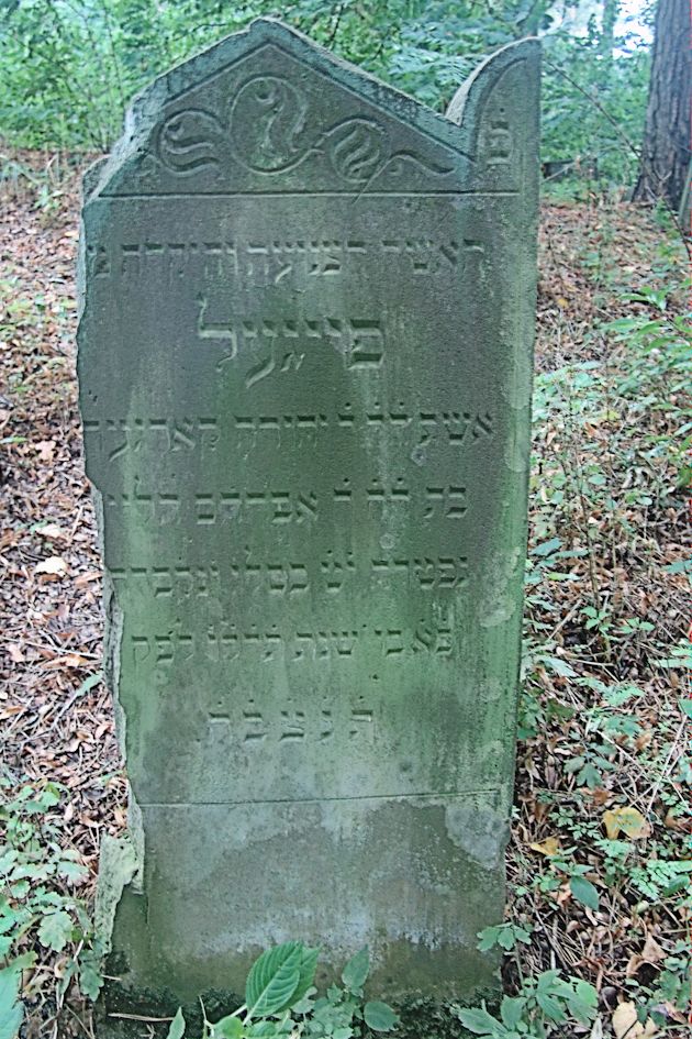Grabstein Nummer 26 auf dem Friedhof Trzciel (Tirschtiegel)