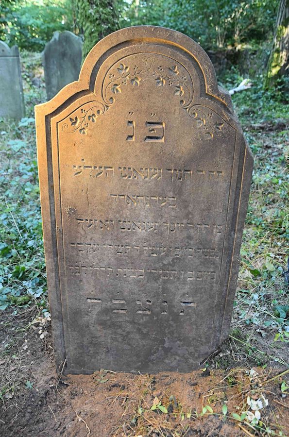 Grabstein Nummer 80 auf dem Friedhof Trzemeszno Lubuskie (Schermeisel)