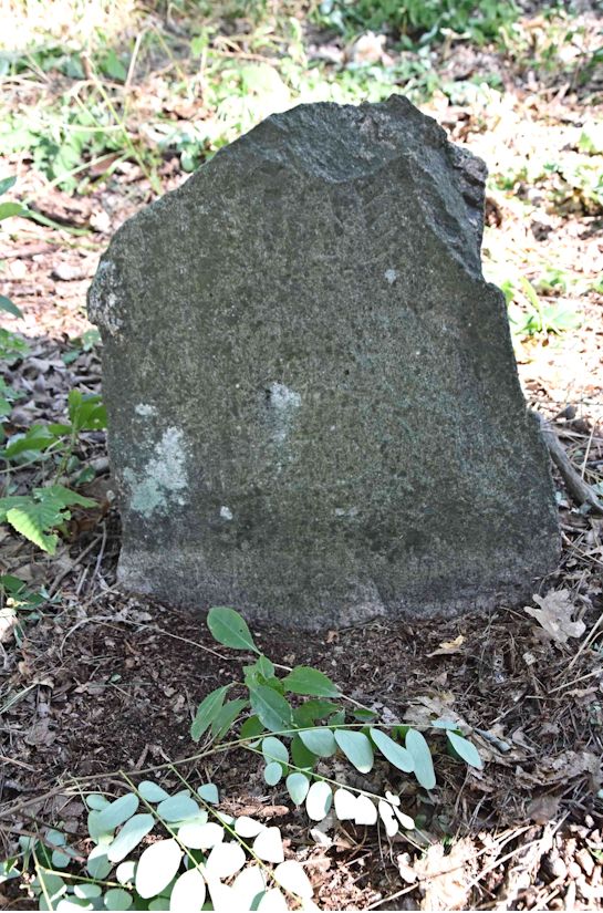 Grabstein Nummer 23 auf dem Friedhof Trzemeszno Lubuskie (Schermeisel)