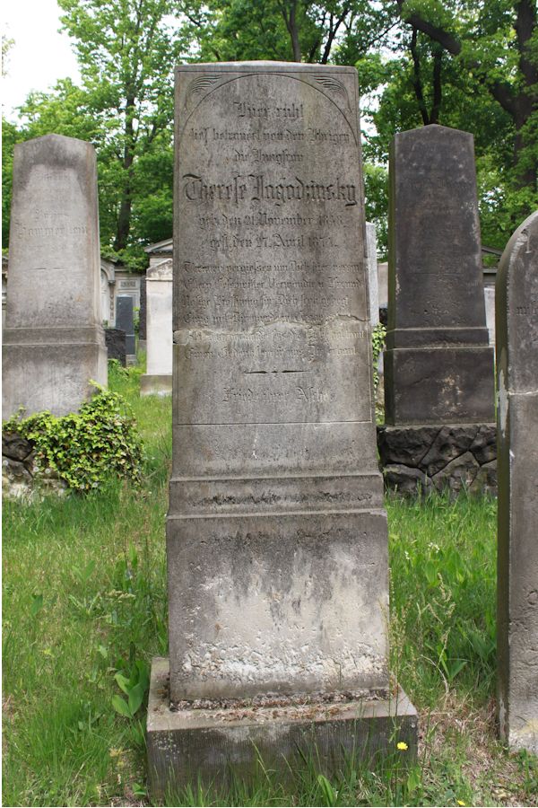 Grabstein Nummer 220 auf dem Friedhof Potsdam